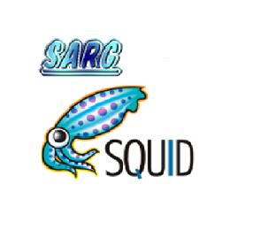 Proxy Squid